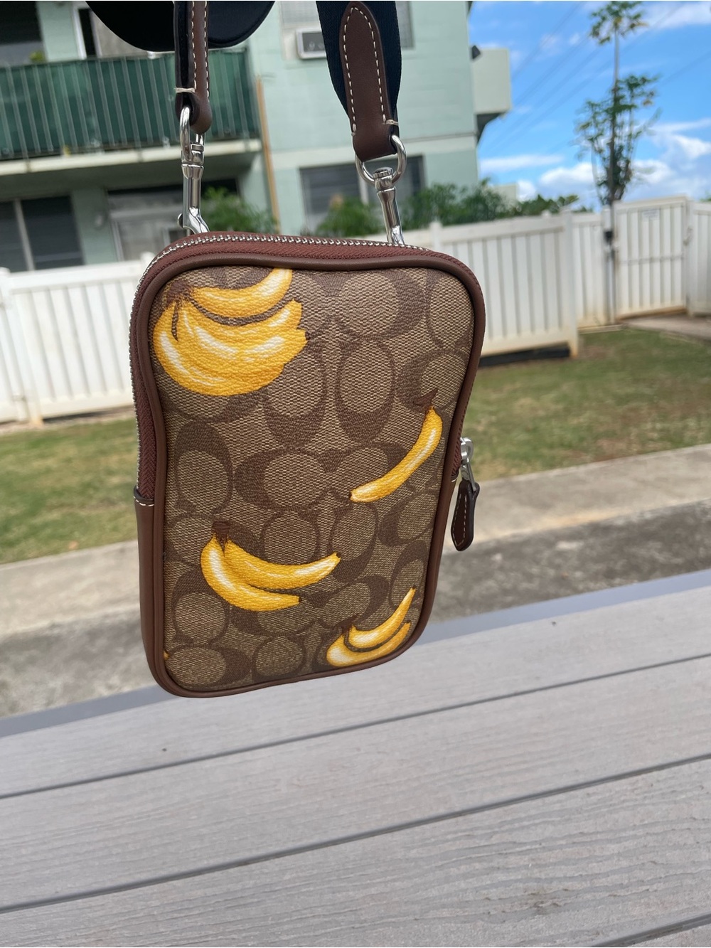 Coach Aden Brown Signature Banana Print Crossbody Pouch